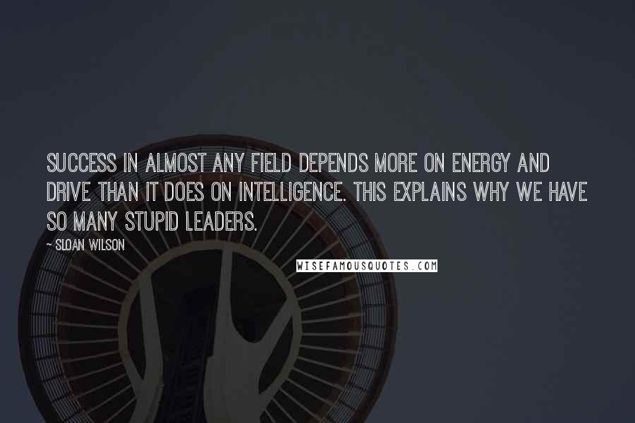 Sloan Wilson Quotes: Success in almost any field depends more on energy and drive than it does on intelligence. This explains why we have so many stupid leaders.