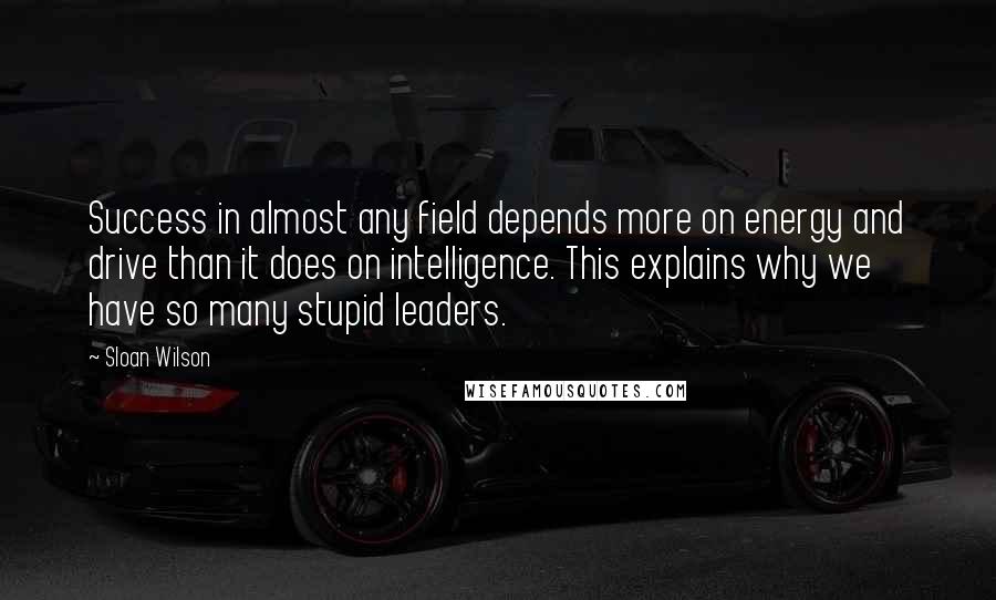 Sloan Wilson Quotes: Success in almost any field depends more on energy and drive than it does on intelligence. This explains why we have so many stupid leaders.