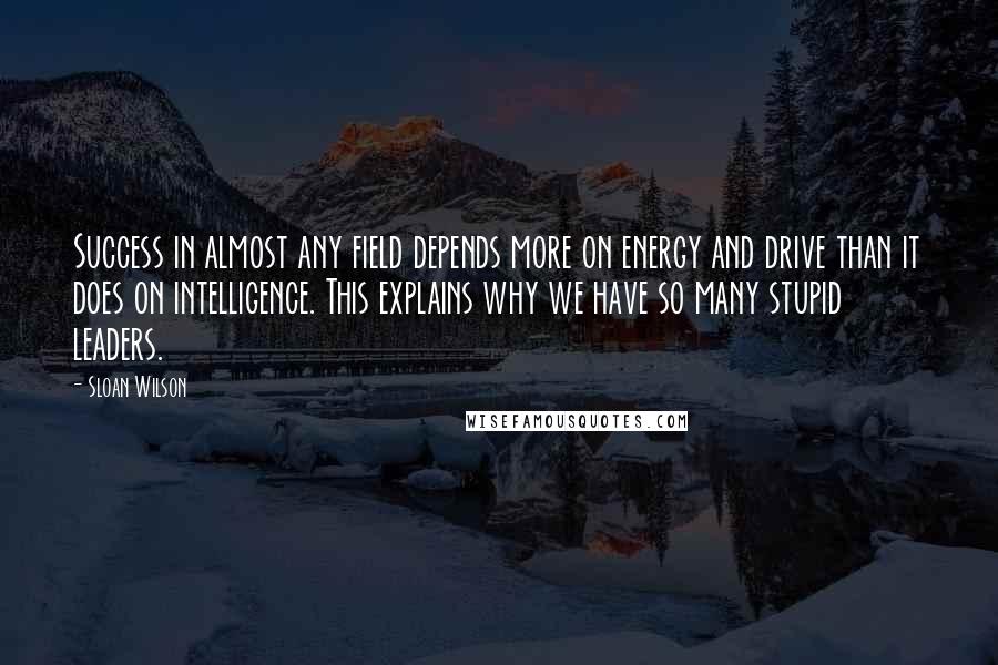 Sloan Wilson Quotes: Success in almost any field depends more on energy and drive than it does on intelligence. This explains why we have so many stupid leaders.