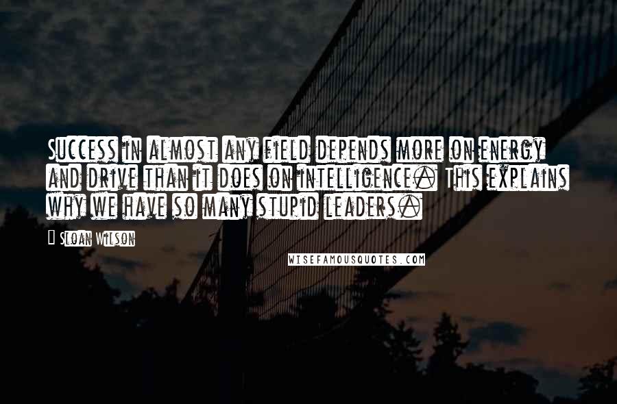 Sloan Wilson Quotes: Success in almost any field depends more on energy and drive than it does on intelligence. This explains why we have so many stupid leaders.