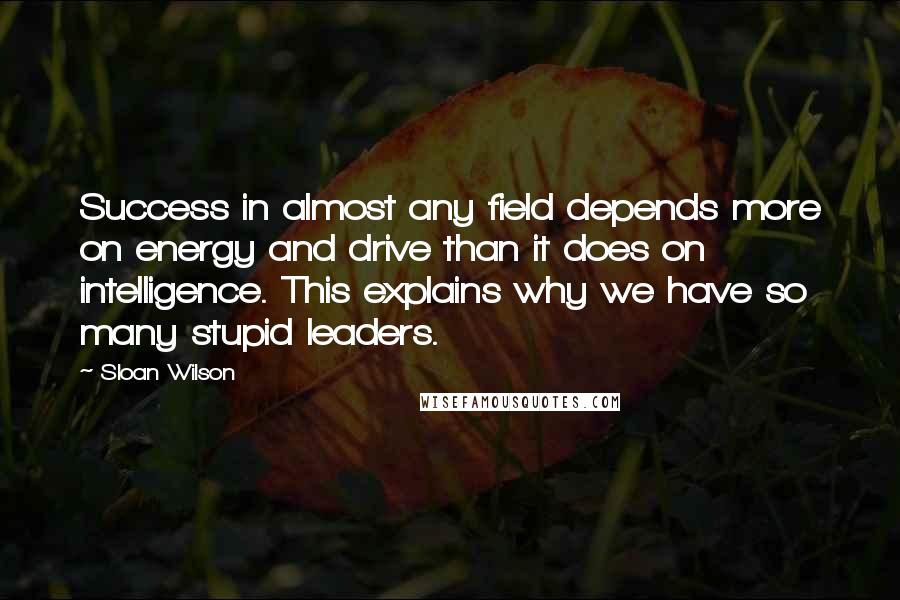 Sloan Wilson Quotes: Success in almost any field depends more on energy and drive than it does on intelligence. This explains why we have so many stupid leaders.