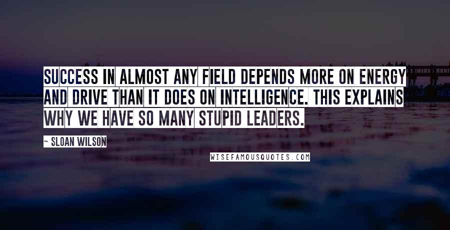 Sloan Wilson Quotes: Success in almost any field depends more on energy and drive than it does on intelligence. This explains why we have so many stupid leaders.