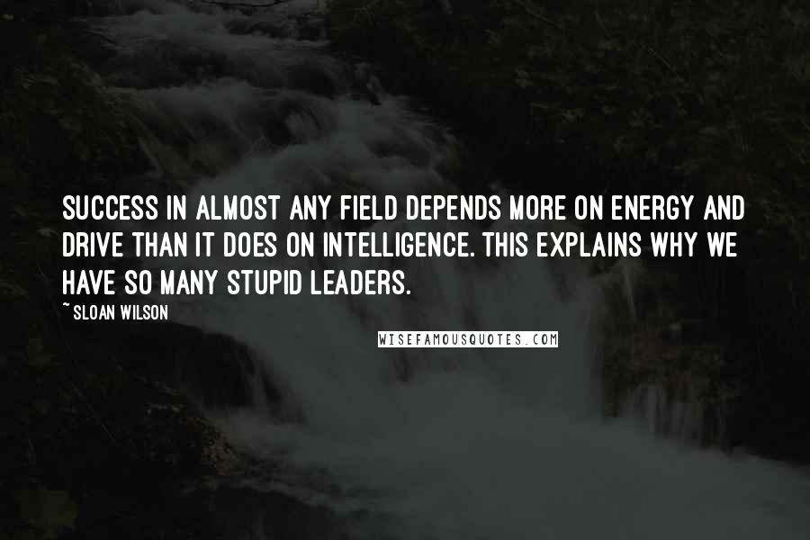 Sloan Wilson Quotes: Success in almost any field depends more on energy and drive than it does on intelligence. This explains why we have so many stupid leaders.