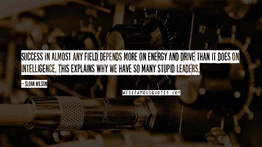 Sloan Wilson Quotes: Success in almost any field depends more on energy and drive than it does on intelligence. This explains why we have so many stupid leaders.