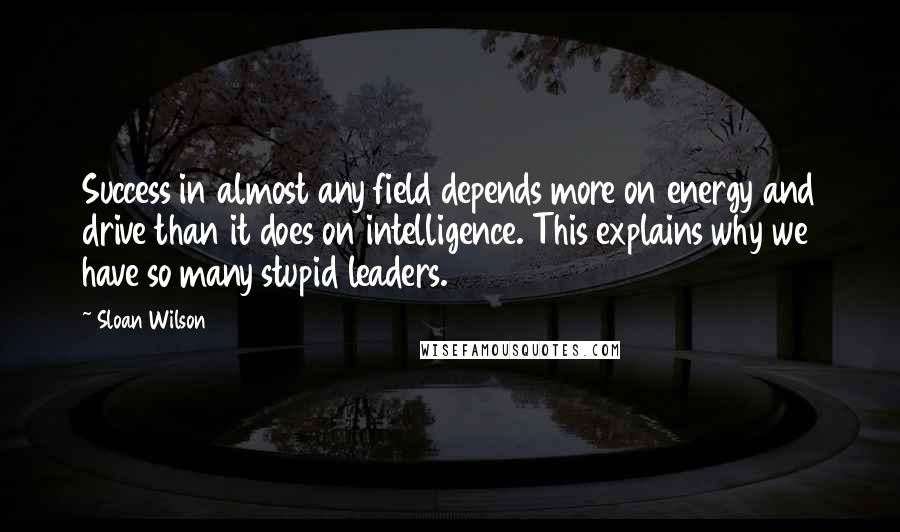 Sloan Wilson Quotes: Success in almost any field depends more on energy and drive than it does on intelligence. This explains why we have so many stupid leaders.