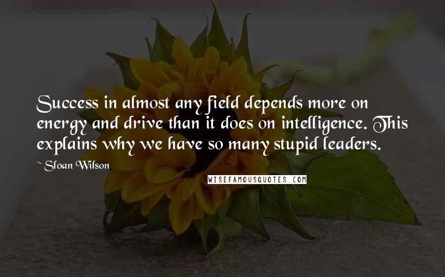 Sloan Wilson Quotes: Success in almost any field depends more on energy and drive than it does on intelligence. This explains why we have so many stupid leaders.