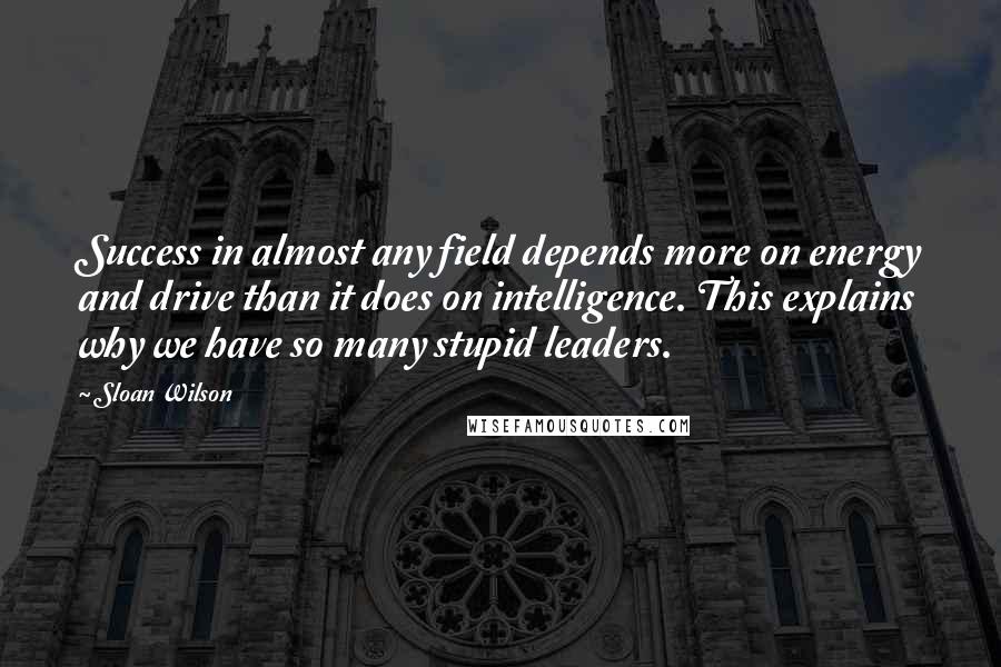 Sloan Wilson Quotes: Success in almost any field depends more on energy and drive than it does on intelligence. This explains why we have so many stupid leaders.