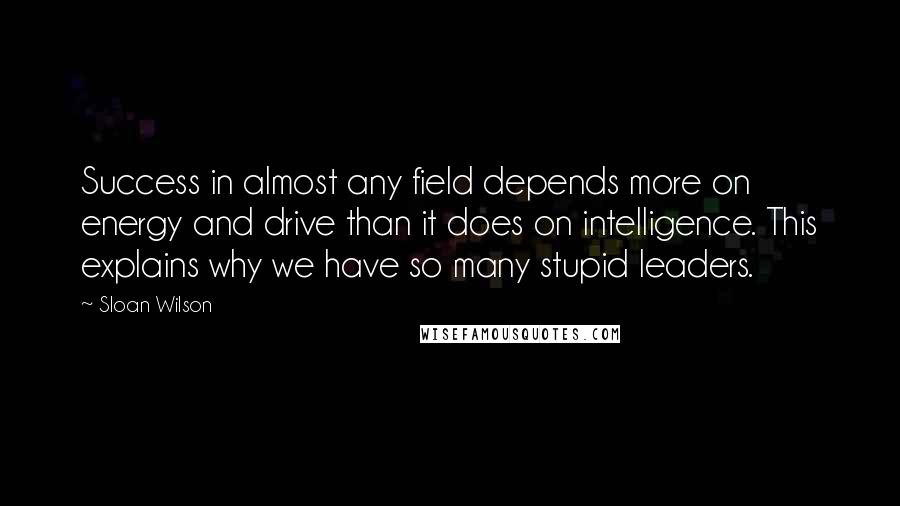 Sloan Wilson Quotes: Success in almost any field depends more on energy and drive than it does on intelligence. This explains why we have so many stupid leaders.