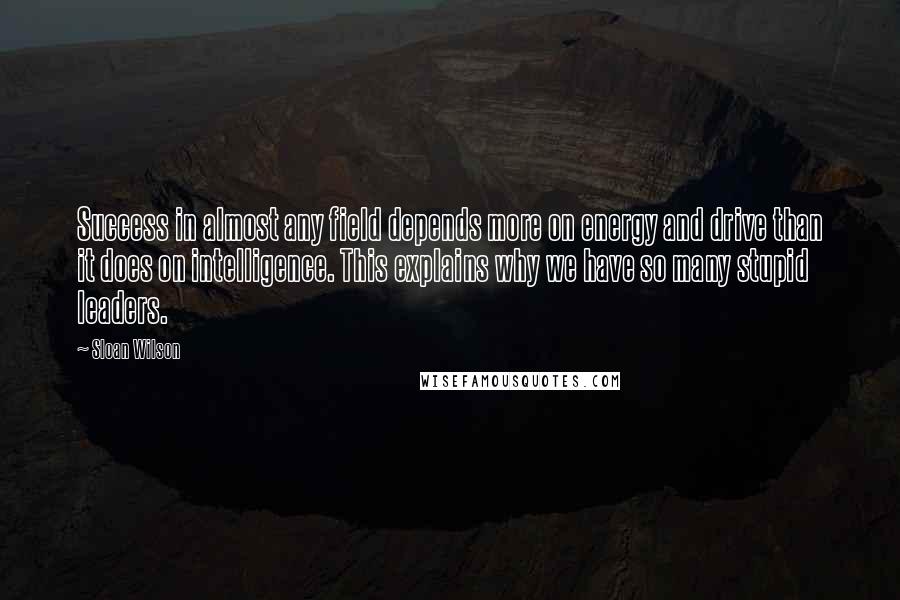 Sloan Wilson Quotes: Success in almost any field depends more on energy and drive than it does on intelligence. This explains why we have so many stupid leaders.