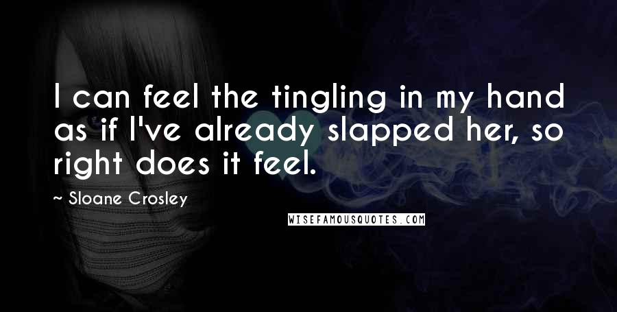 Sloane Crosley Quotes: I can feel the tingling in my hand as if I've already slapped her, so right does it feel.
