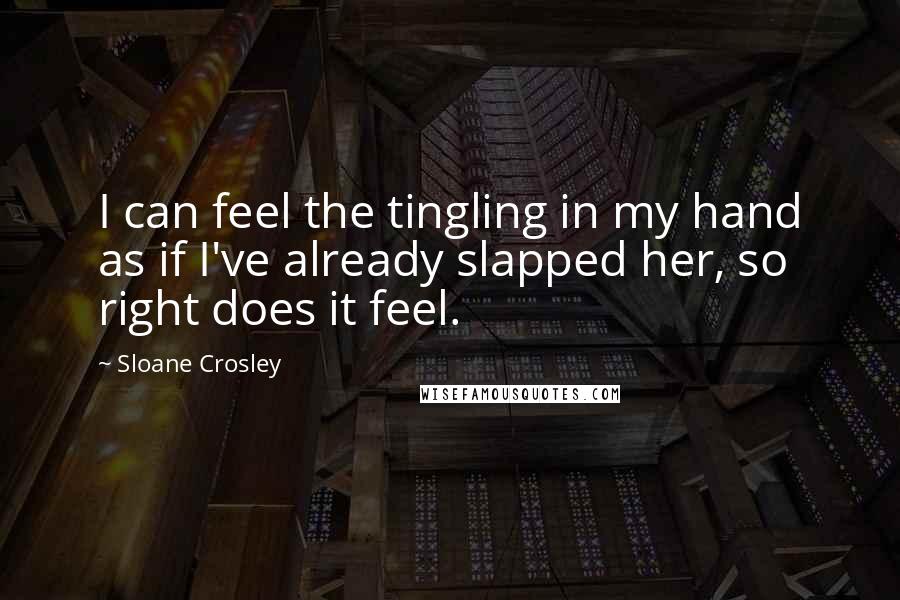 Sloane Crosley Quotes: I can feel the tingling in my hand as if I've already slapped her, so right does it feel.