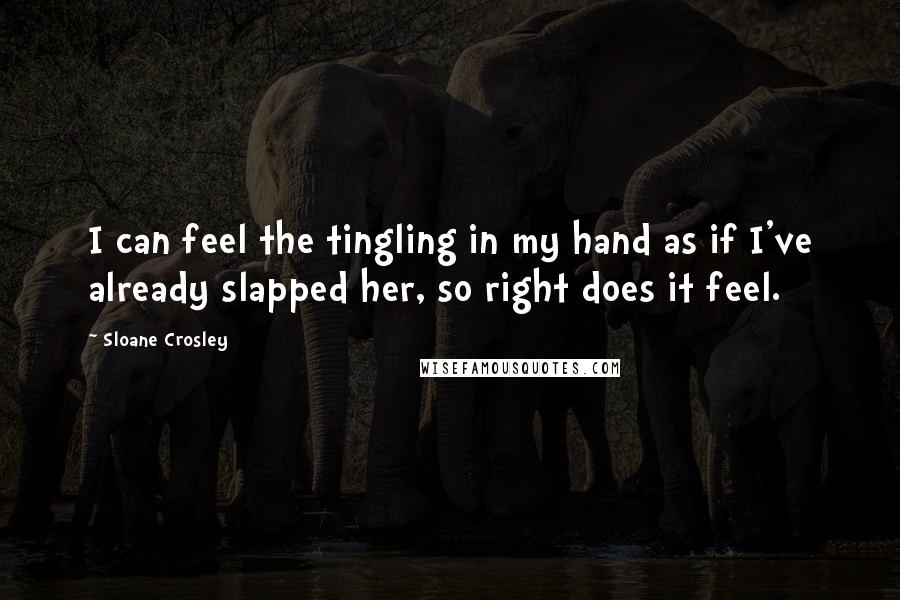 Sloane Crosley Quotes: I can feel the tingling in my hand as if I've already slapped her, so right does it feel.