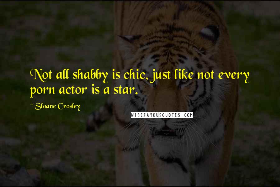 Sloane Crosley Quotes: Not all shabby is chic, just like not every porn actor is a star.