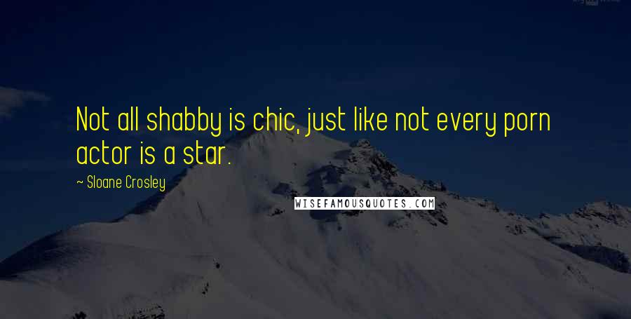 Sloane Crosley Quotes: Not all shabby is chic, just like not every porn actor is a star.