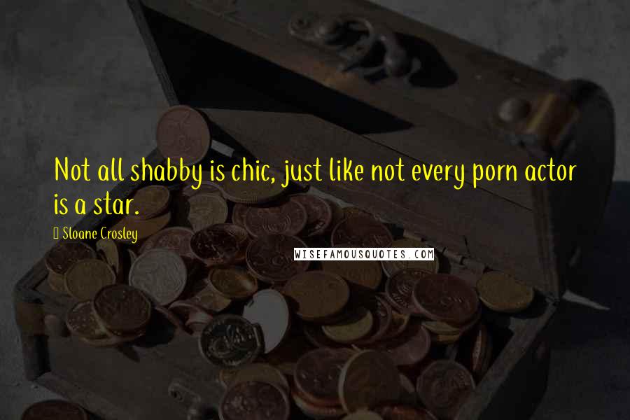 Sloane Crosley Quotes: Not all shabby is chic, just like not every porn actor is a star.