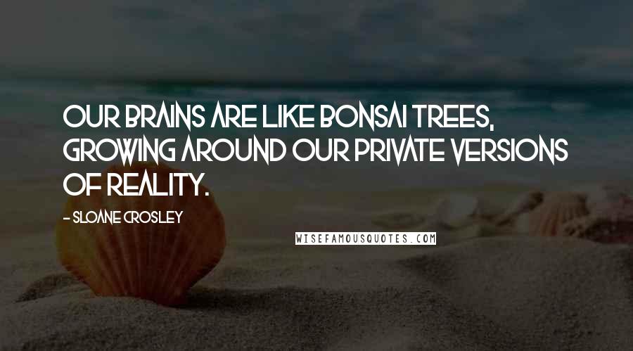 Sloane Crosley Quotes: Our brains are like bonsai trees, growing around our private versions of reality.