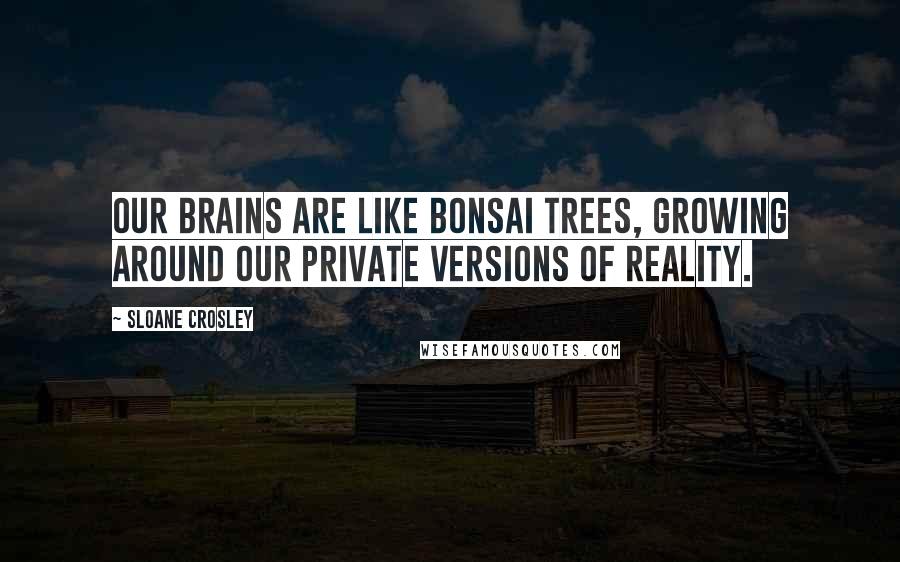 Sloane Crosley Quotes: Our brains are like bonsai trees, growing around our private versions of reality.