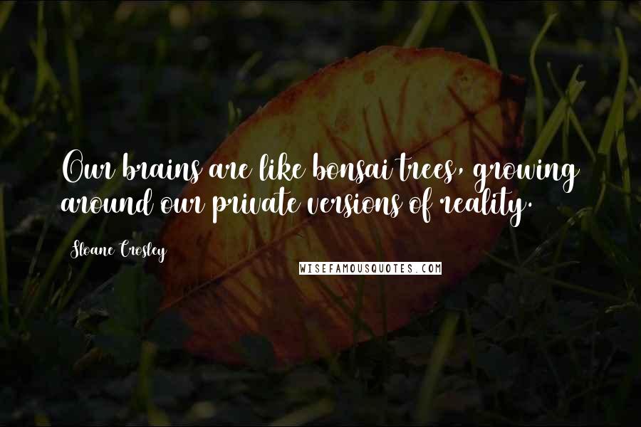 Sloane Crosley Quotes: Our brains are like bonsai trees, growing around our private versions of reality.