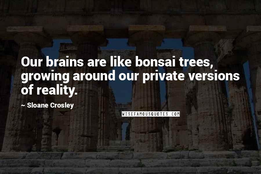 Sloane Crosley Quotes: Our brains are like bonsai trees, growing around our private versions of reality.