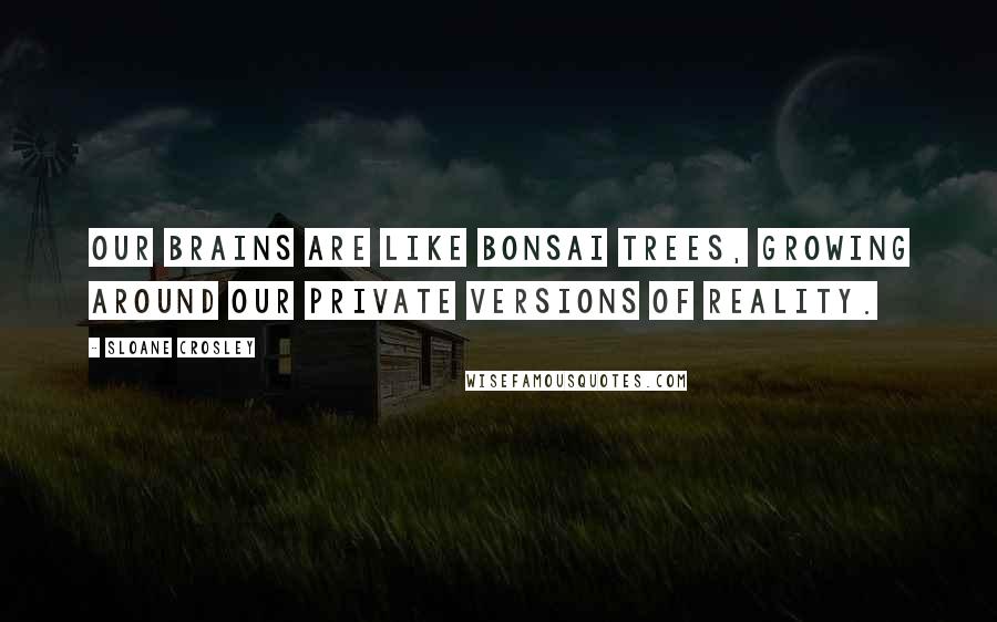 Sloane Crosley Quotes: Our brains are like bonsai trees, growing around our private versions of reality.