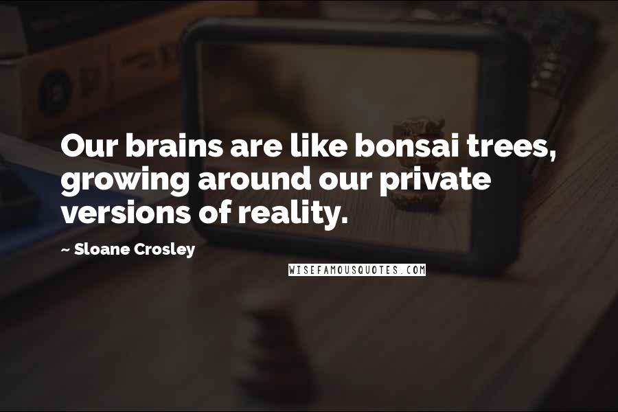 Sloane Crosley Quotes: Our brains are like bonsai trees, growing around our private versions of reality.