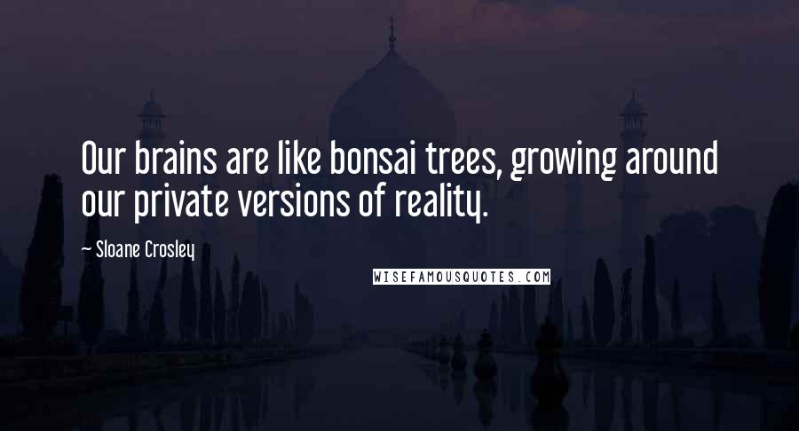 Sloane Crosley Quotes: Our brains are like bonsai trees, growing around our private versions of reality.