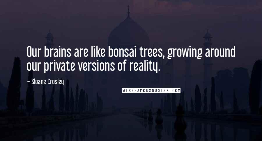 Sloane Crosley Quotes: Our brains are like bonsai trees, growing around our private versions of reality.
