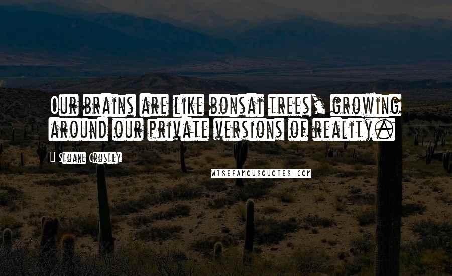 Sloane Crosley Quotes: Our brains are like bonsai trees, growing around our private versions of reality.