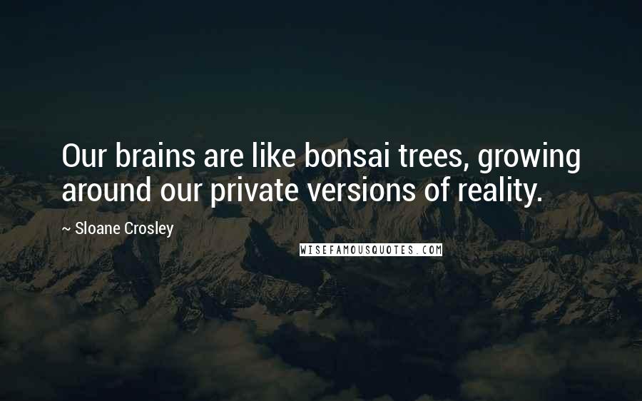 Sloane Crosley Quotes: Our brains are like bonsai trees, growing around our private versions of reality.