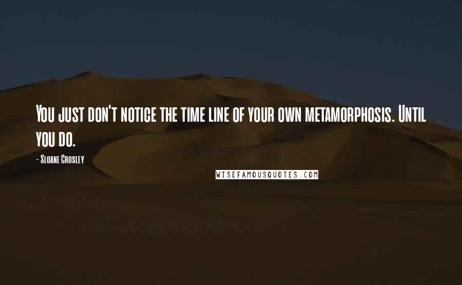 Sloane Crosley Quotes: You just don't notice the time line of your own metamorphosis. Until you do.