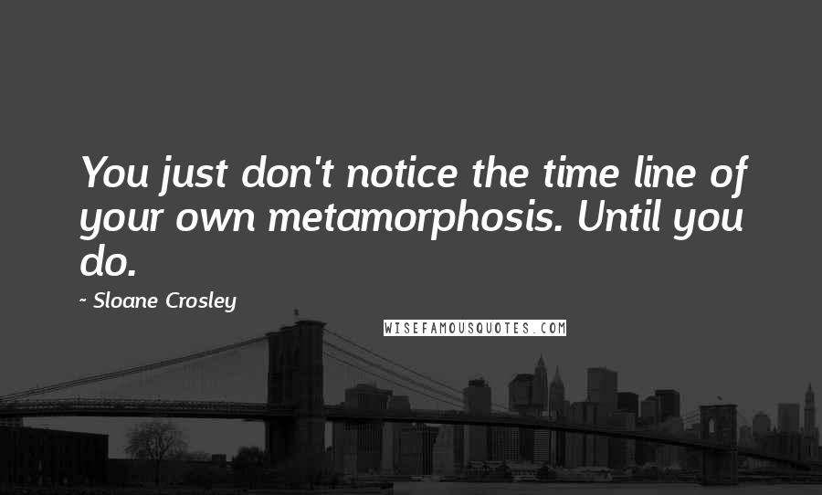 Sloane Crosley Quotes: You just don't notice the time line of your own metamorphosis. Until you do.