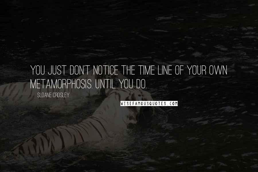 Sloane Crosley Quotes: You just don't notice the time line of your own metamorphosis. Until you do.