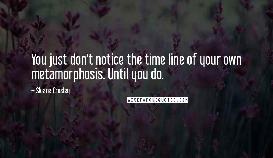 Sloane Crosley Quotes: You just don't notice the time line of your own metamorphosis. Until you do.