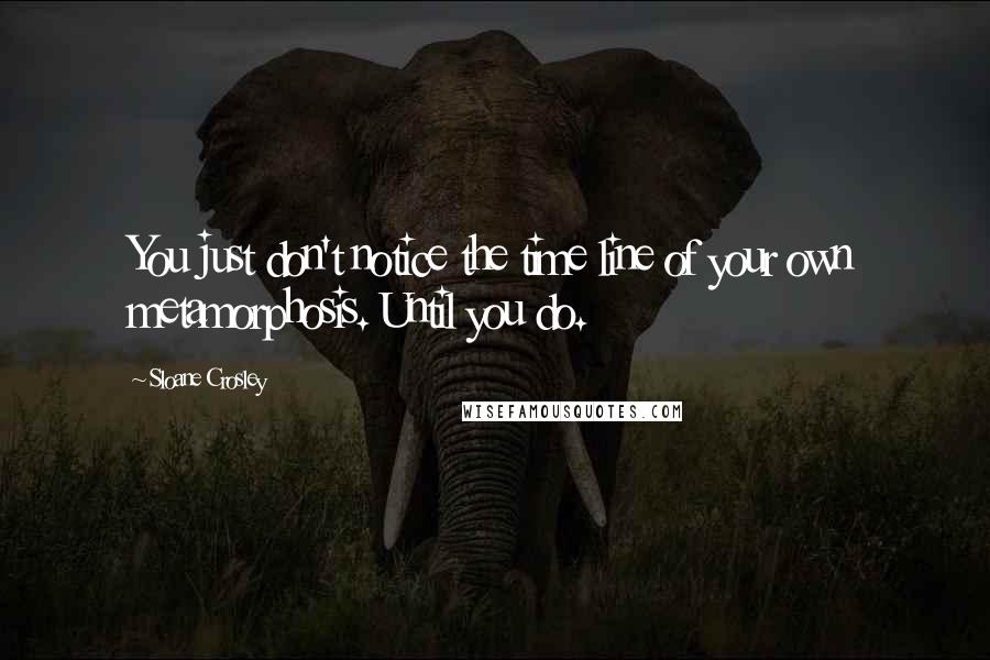 Sloane Crosley Quotes: You just don't notice the time line of your own metamorphosis. Until you do.