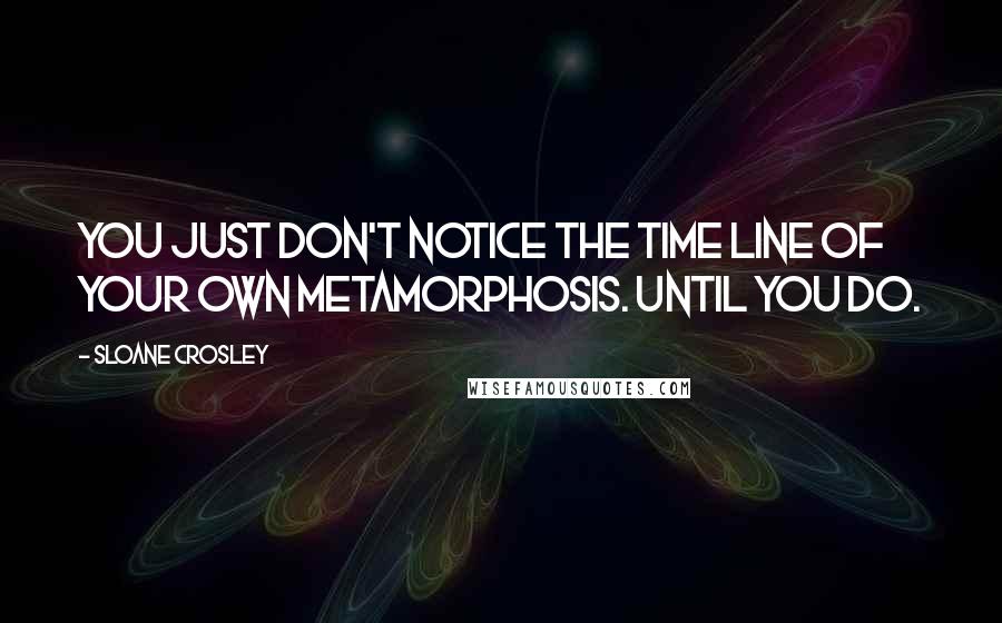 Sloane Crosley Quotes: You just don't notice the time line of your own metamorphosis. Until you do.