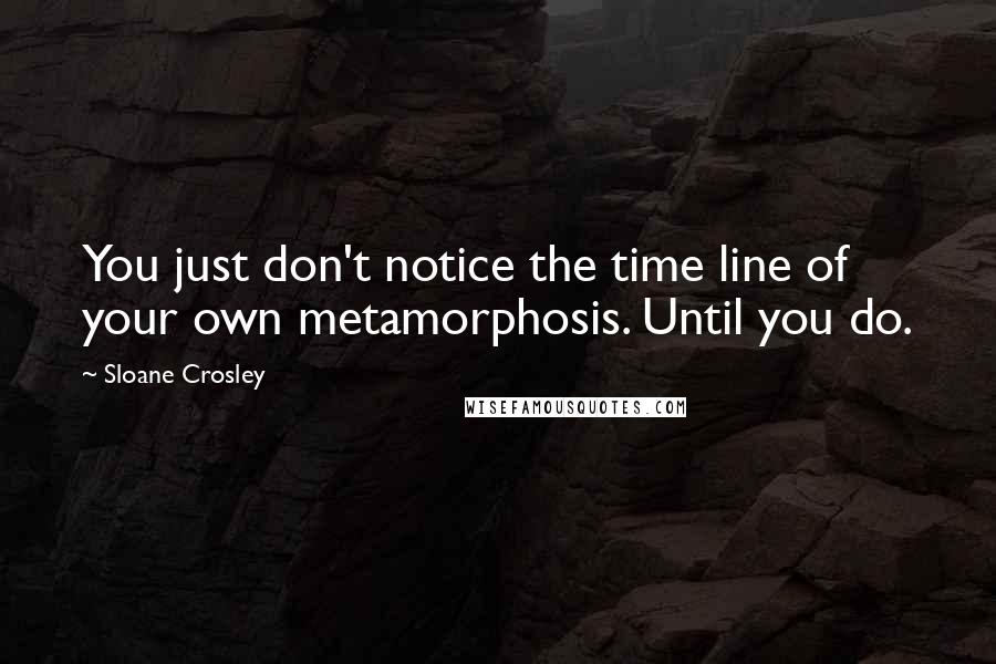 Sloane Crosley Quotes: You just don't notice the time line of your own metamorphosis. Until you do.