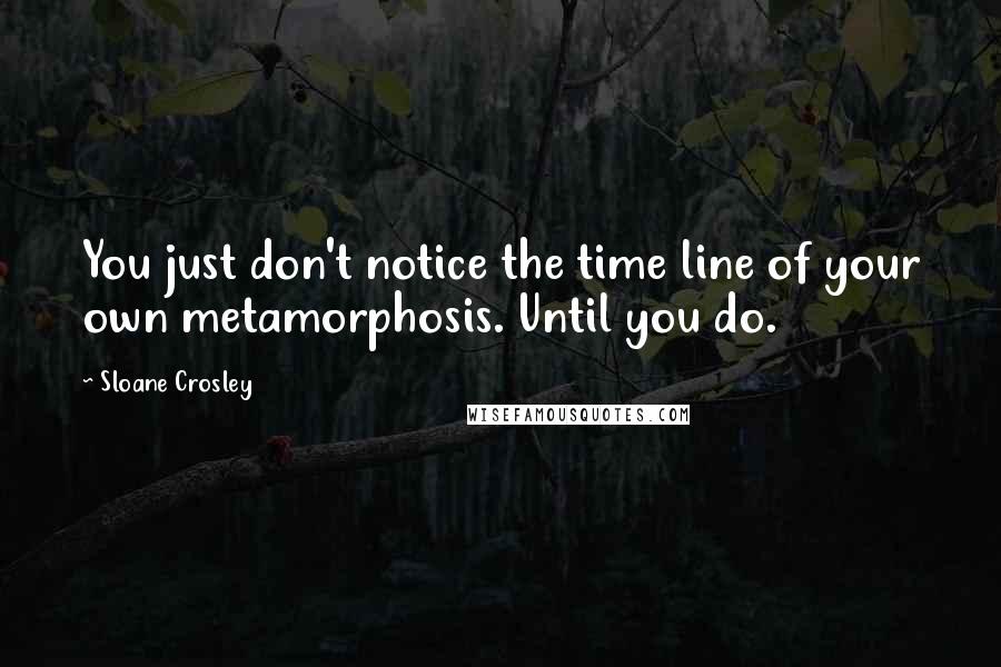 Sloane Crosley Quotes: You just don't notice the time line of your own metamorphosis. Until you do.