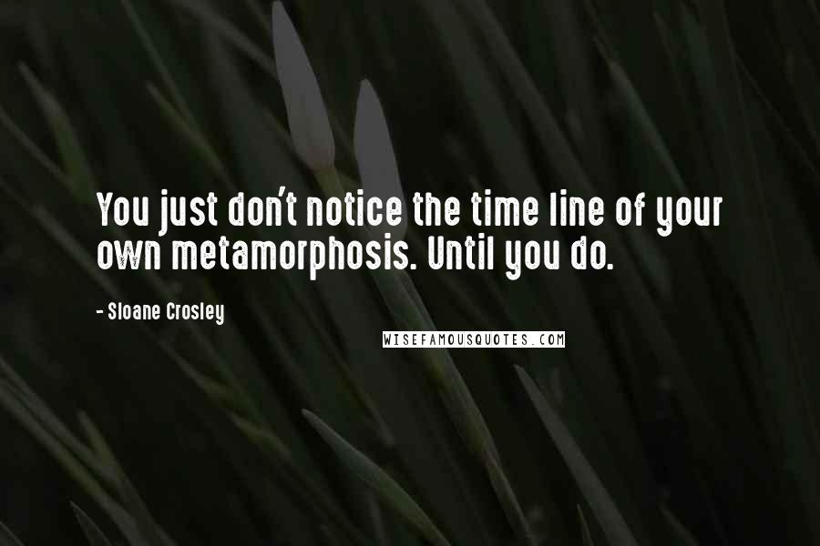 Sloane Crosley Quotes: You just don't notice the time line of your own metamorphosis. Until you do.