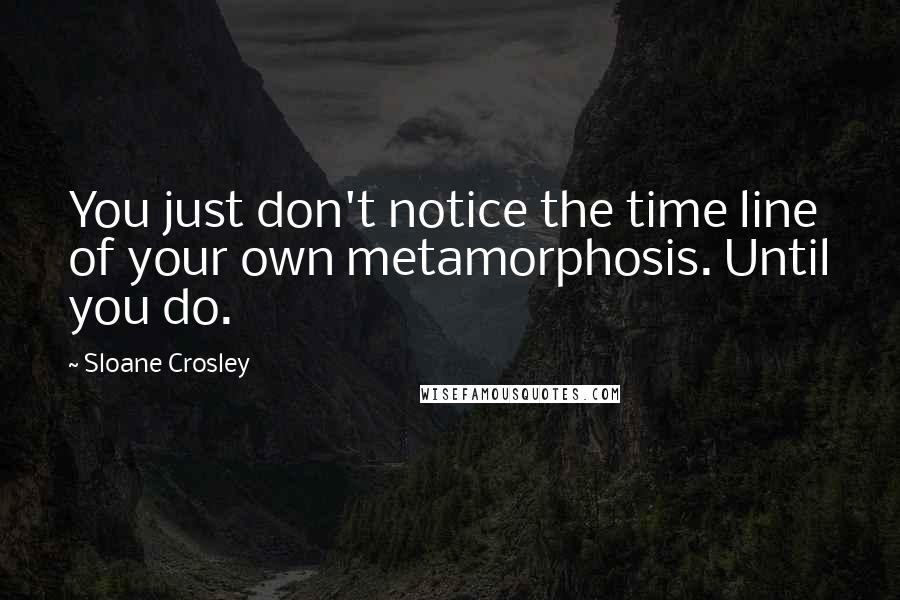 Sloane Crosley Quotes: You just don't notice the time line of your own metamorphosis. Until you do.