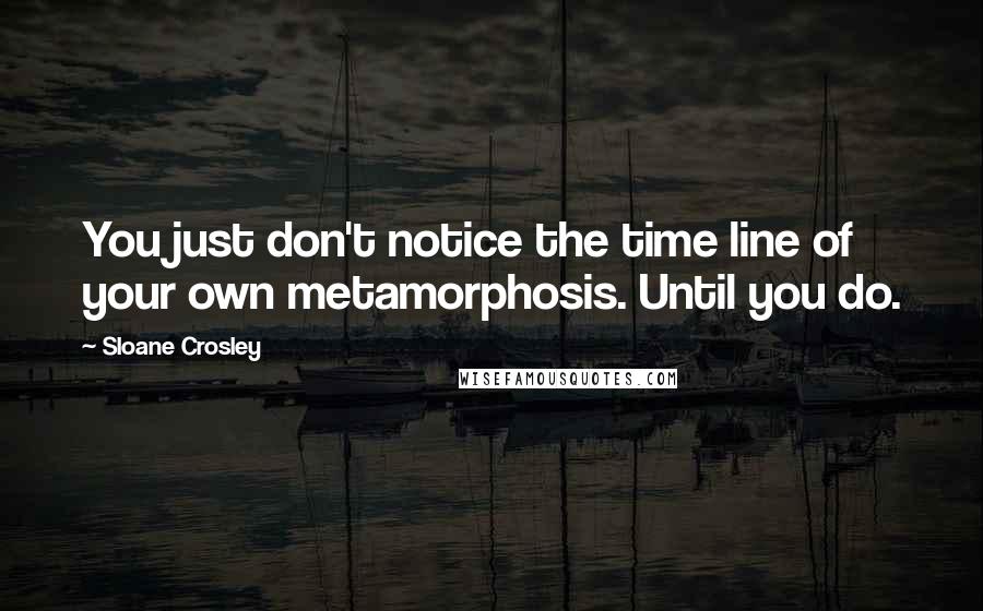 Sloane Crosley Quotes: You just don't notice the time line of your own metamorphosis. Until you do.