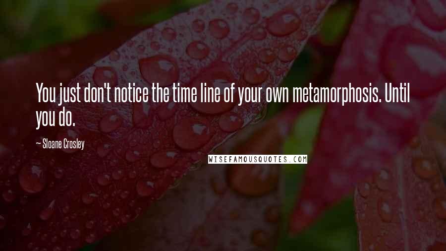 Sloane Crosley Quotes: You just don't notice the time line of your own metamorphosis. Until you do.
