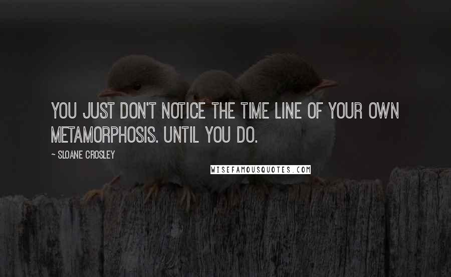 Sloane Crosley Quotes: You just don't notice the time line of your own metamorphosis. Until you do.