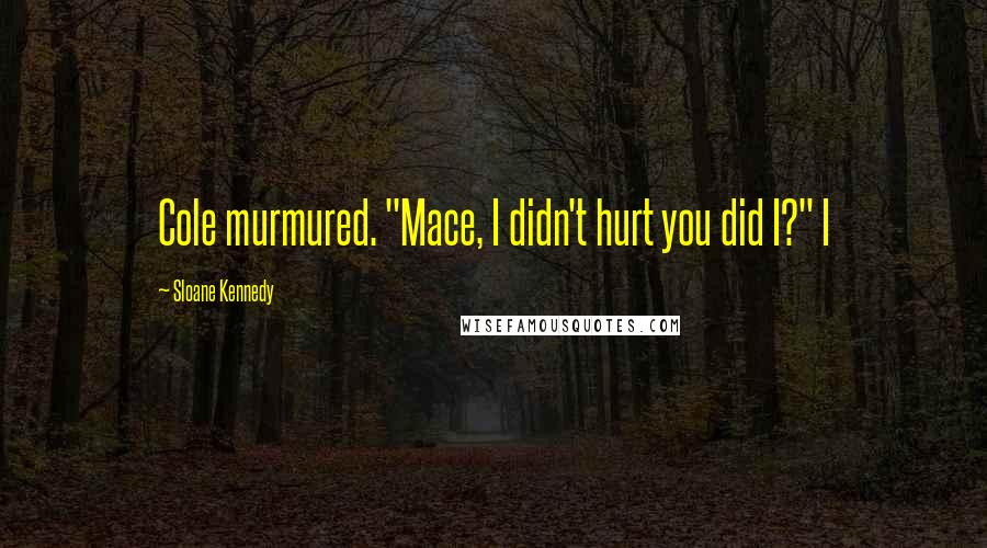Sloane Kennedy Quotes: Cole murmured. "Mace, I didn't hurt you did I?" I
