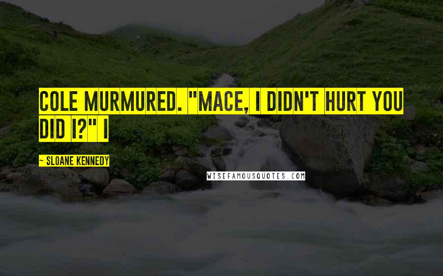 Sloane Kennedy Quotes: Cole murmured. "Mace, I didn't hurt you did I?" I