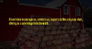A Friend Supports You Quotes