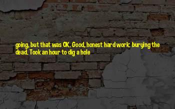 A Hole Quotes