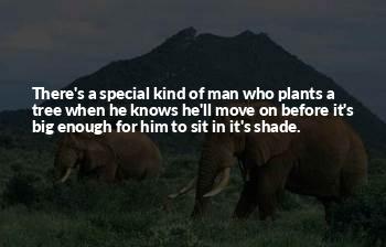 A Man Who Plants A Tree Quotes