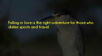 Adventure Sports Travel Quotes