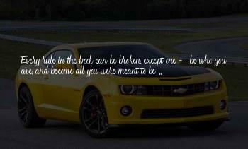 Be Who You Were Meant To Be Quotes