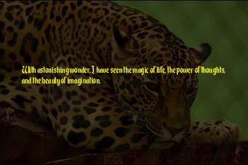 Beauty Imagination Quotes